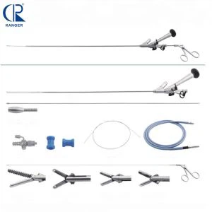 Ureterorenoscopy Set
