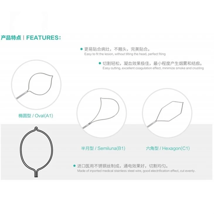 Disposable Polypectomy Snare